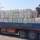 الان برسيم الراعي في بيشة