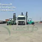برسيم الراعي عسفان