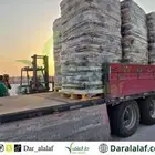 برسيم مستورد اسباني