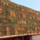برسيم صافي ومخلوط شد جندير