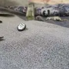 بليزر للمناسبات وفورمال للعمل.