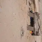 بيشه