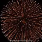 طراطيع ألعاب العيد