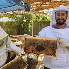 السنان للعسل الطبيعي