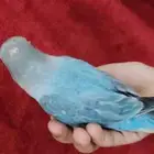 روز اليف مع الصغير والكبير