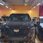سكاليد بلاتنيوم سبورت قصير 2025 - وارد كوريا