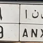 لوحه مميزة نقل خاص جاهزة للنقل ص ن أ 9 بسعر 22000 جاهز