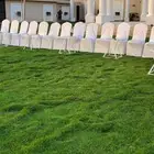 تاجير كراسي وطاولات وسماعات وجلسات