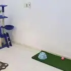 فندقة قطط منزليه