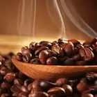 قهوة مختصة محصول برازيلي للكافيهات والمقاهي
