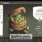 هيل اكبر هندي جامبو 8مل - موسم جديد08 2024