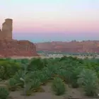 العلا حي مراخ بالقرب من مراخ