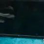 شاشه تلفزيون