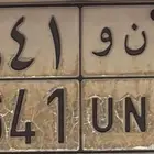 لوحه للبيع حنو