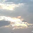 بهم حري صنف تم البيع