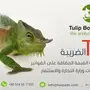 Tulip Bookkeeper برنامج إدارة الحسابات