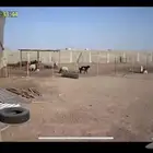 كاميرا بالطاقة الشمسية