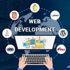 website developer