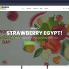 مصمم مواقع و متاجر ويب