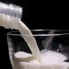 حليب بقر طبيعي