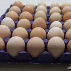 بيض بلدي