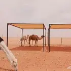 مظلات ابل غرف خشب