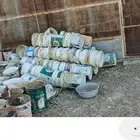 سطول بلاستيك جديد والحديد مستعمل