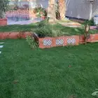 انجيله عشب طبيعي صافي مضمونه
