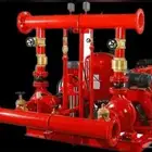 مؤسسه الاهرام للسلامه