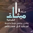 مصور مزادات عقارية ومسوق