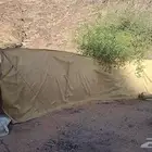 شبوك وغرف للبيع