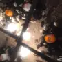 للبيع صوص العدد فوق 280 العمر اسبوع