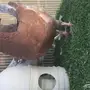 طبة كنج 