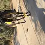 حصان. شعبي