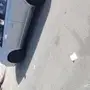 ايكو 2003