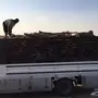 سمر حملة دينه سوبر جامبو للبيع ح ط ب