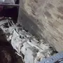 قير عادي للبيع