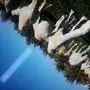 ابل للبيع
