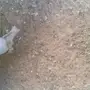حمام تركي 