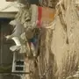 ثلاث دجاجات بيضاء صك