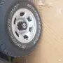 جنوط مع الكفرات 