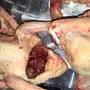 زغاليل لاحم فرنسي للاكل 