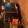 Food Truck - فود ترك