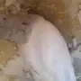 حمام تركي 