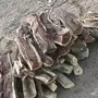 حطب شليخ كفو 