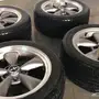 موستنق جنوط بولت