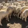 بهم حري نظيف 