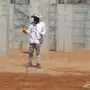 هل ازعجتك الحشرات بمنزلك هنا الحل شوف الصور