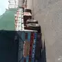 بصل مصري 