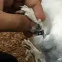 مهم جدا حمام